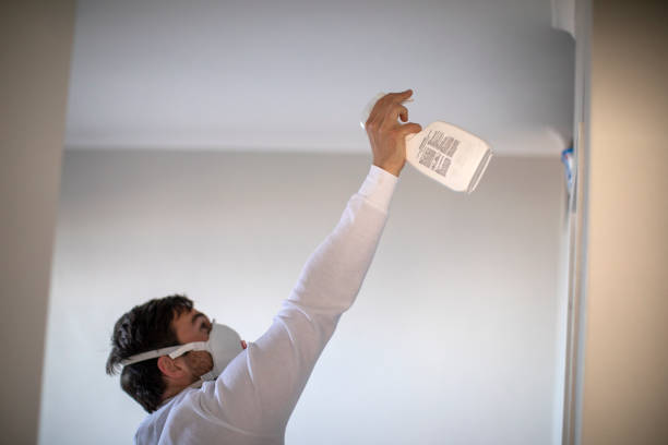 Best Mold Remediation for Specific Building Types in Greenwood Lake, NY