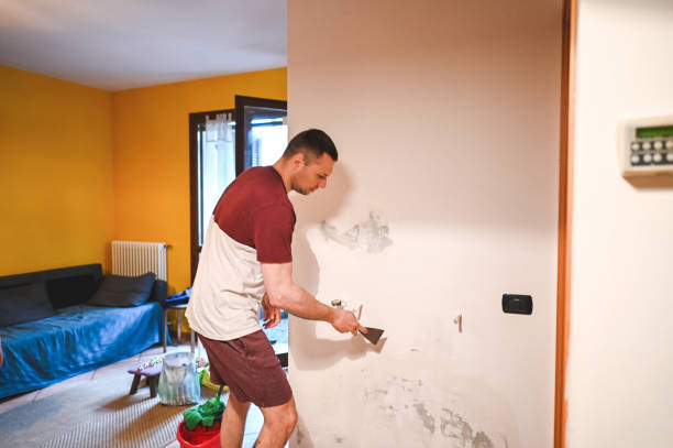 Best Post-Remediation Services in Greenwood Lake, NY